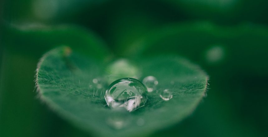 aaron-burden-dXYE1d08BiY-unsplash