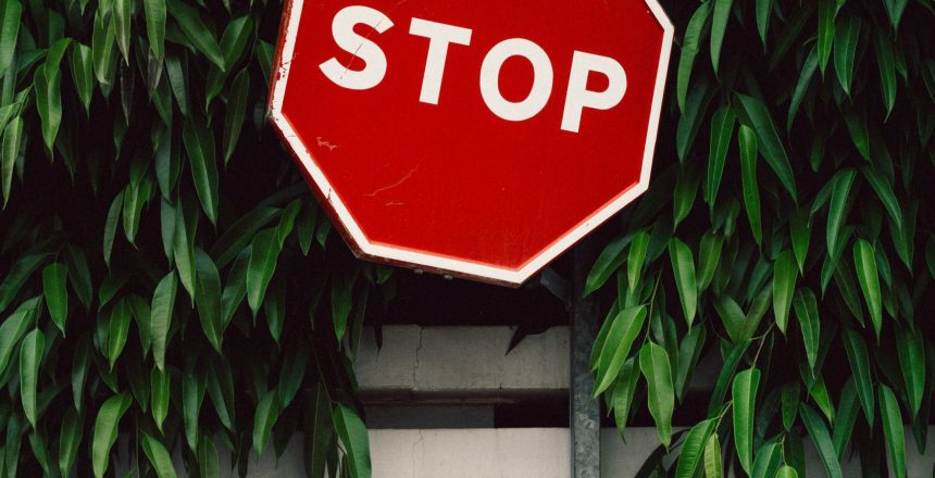 bogomil-mihaylov-OHxTNeAtNRs-unsplash