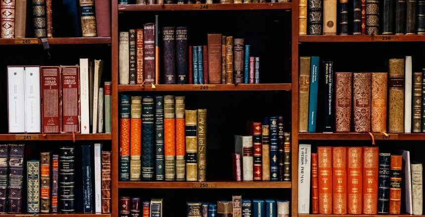 inaki-del-olmo-NIJuEQw0RKg-unsplash