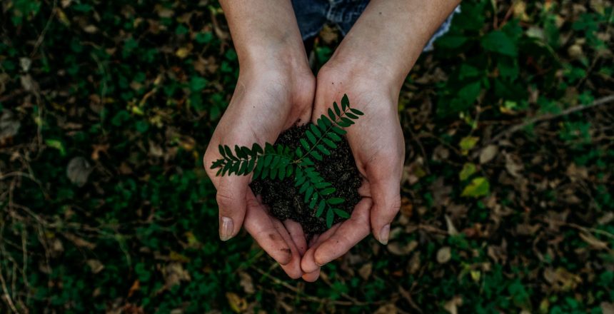 noah-buscher-x8ZStukS2PM-unsplash